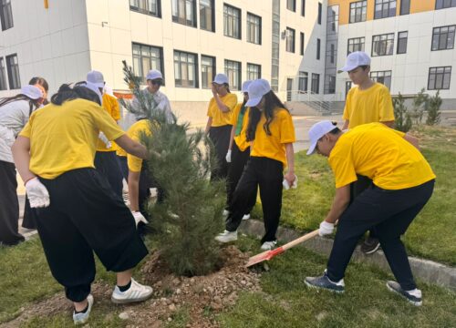 «Менің атаулы ағашым» экологиялық ағаш егу акциясы
